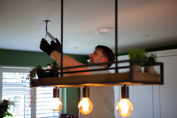 Best Electric Panel Repair  in River Rouge, MI